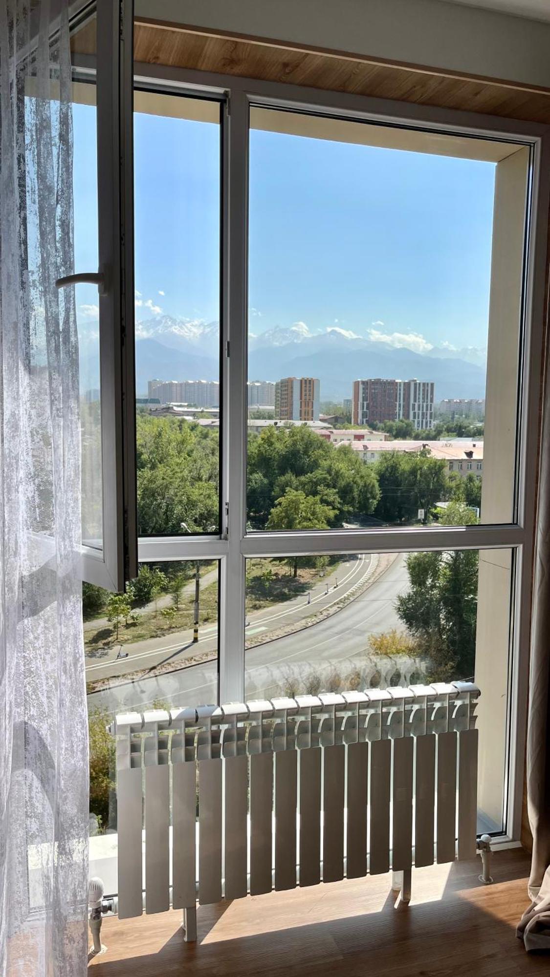 вид на горы из уютной квартиры * Almaty